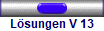 Lsungen V 13